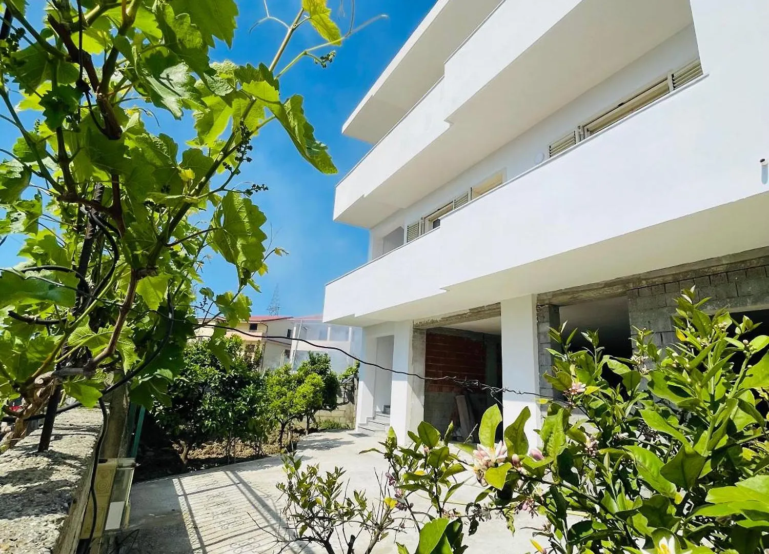 Blendi Guest House의 연락처